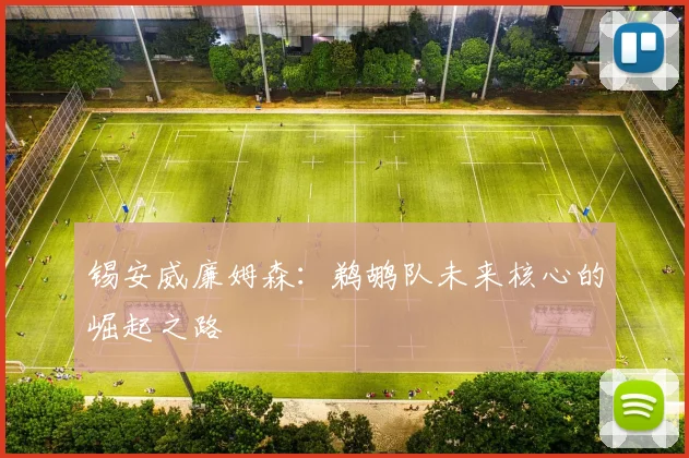 锡安威廉姆森：鹈鹕队未来核心的崛起之路