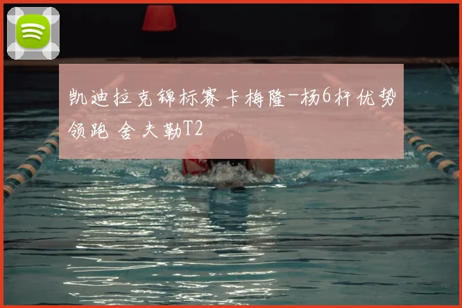 凯迪拉克锦标赛卡梅隆-杨6杆优势领跑 舍夫勒T2
