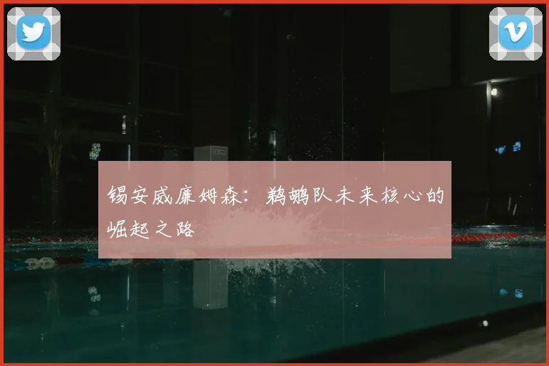 锡安威廉姆森：鹈鹕队未来核心的崛起之路